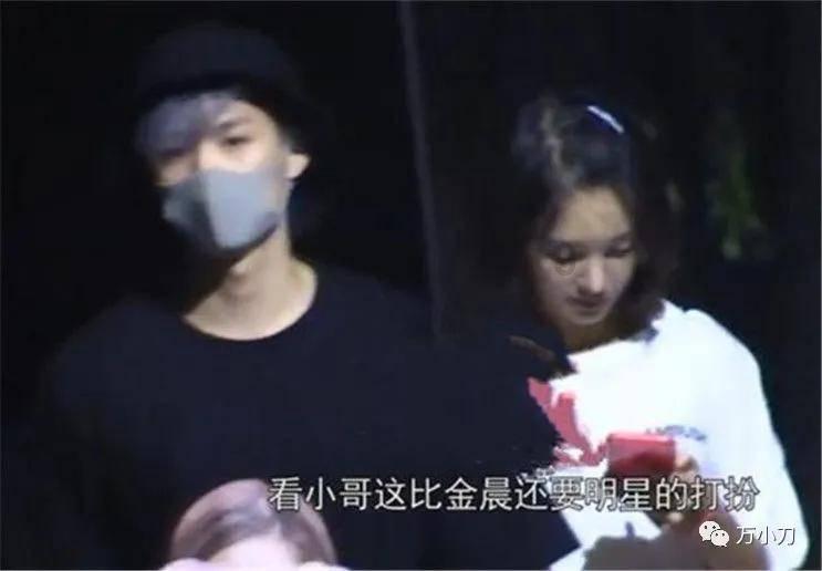 强大的狮子拼图
