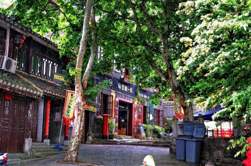 茶业智造“加速跑”