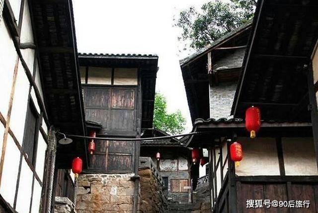 寻找萌宠松鼠